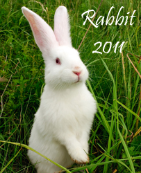 Year of the Rabbit 2011